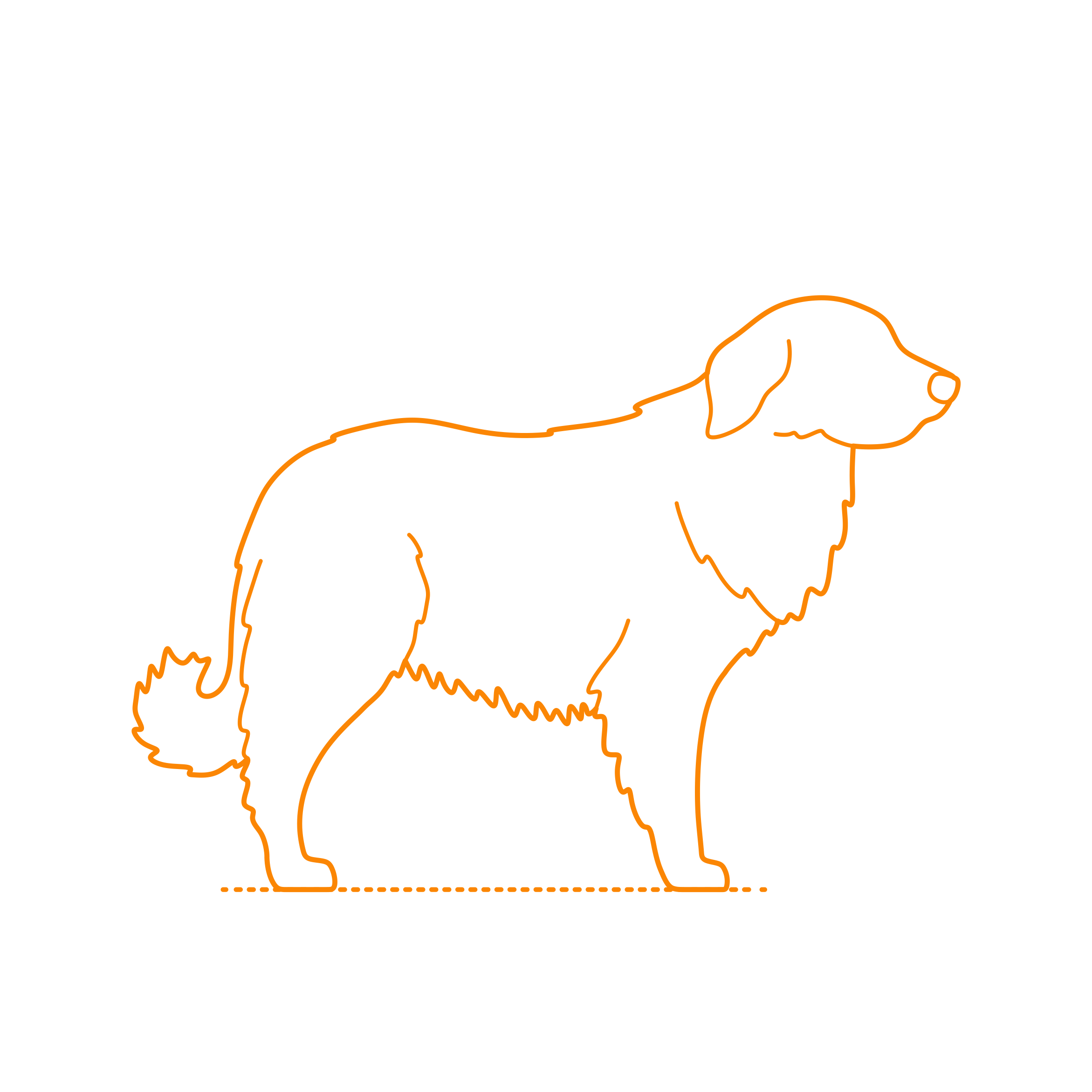 Animals Dogs Estrela Mountain Dog Sketch Style Svg Vector Free Vectors